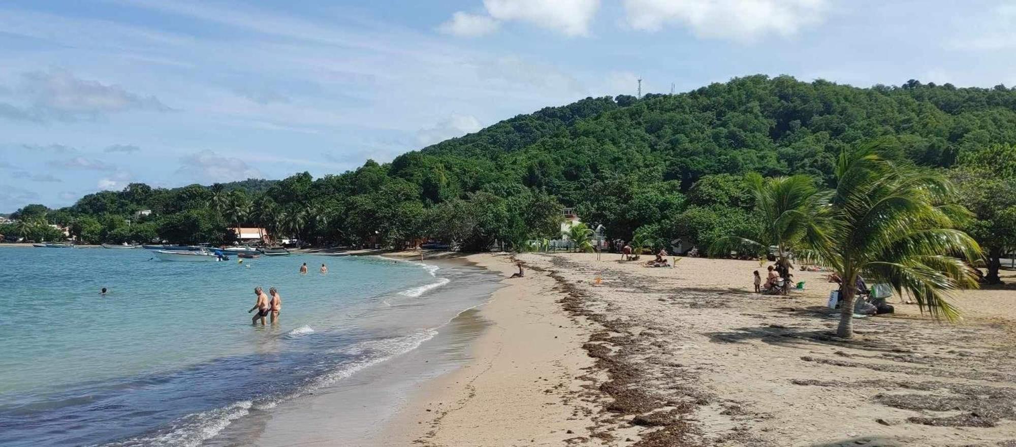 Studio Entre Terre Et Mer, Tartane, Martinique La Trinité Eksteriør billede